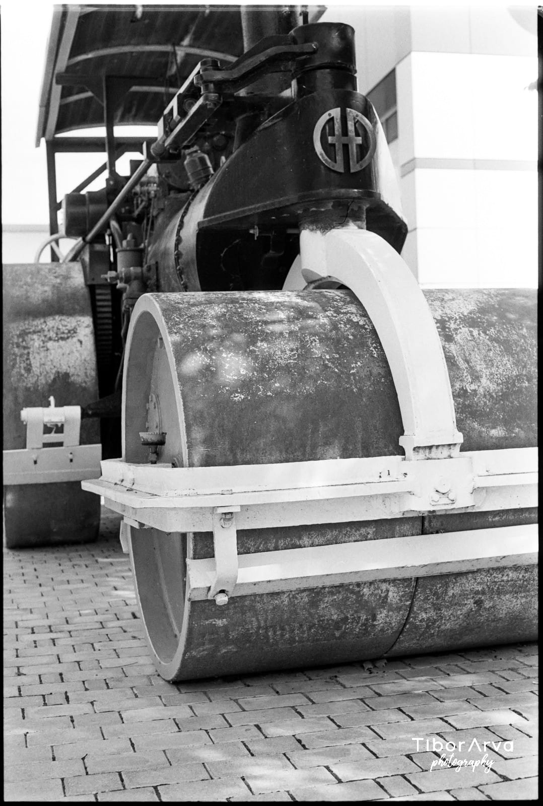 Suncokret — analogna crno-bela makro fotografija cveta, srebrno-želatinski print sa Ilford Pearl finišom, chiaroscuro studija