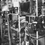 Analog fine art photograph — gelatin silver print from Tibor Arva botanical collection