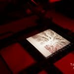 Roots of Light — fine art gelatin silver print