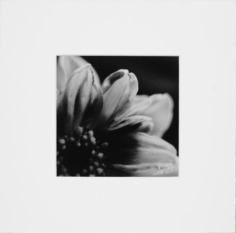 Intimacy of Bloom