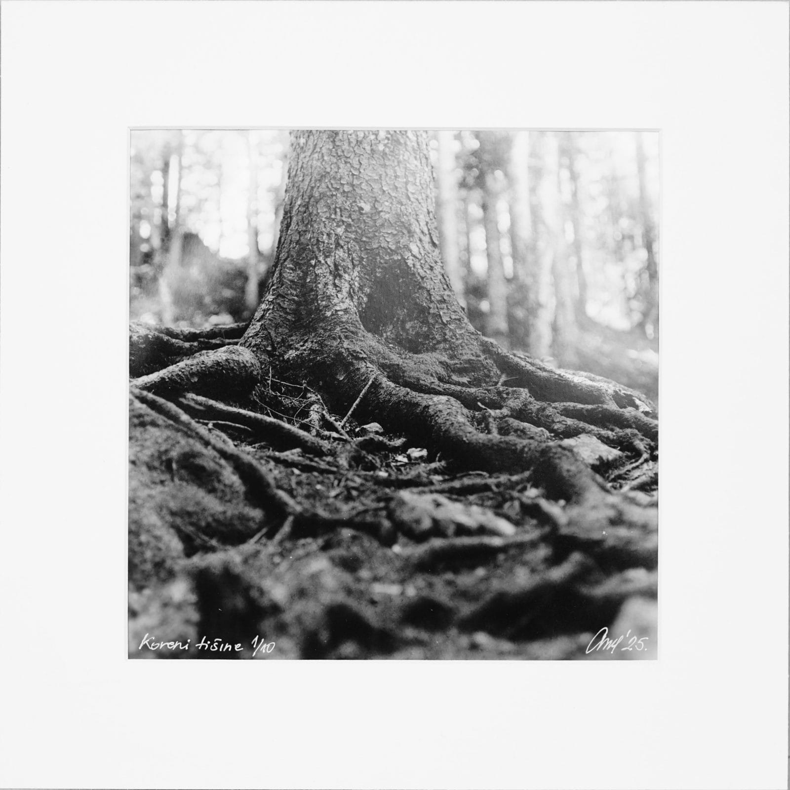 Roots of Silence