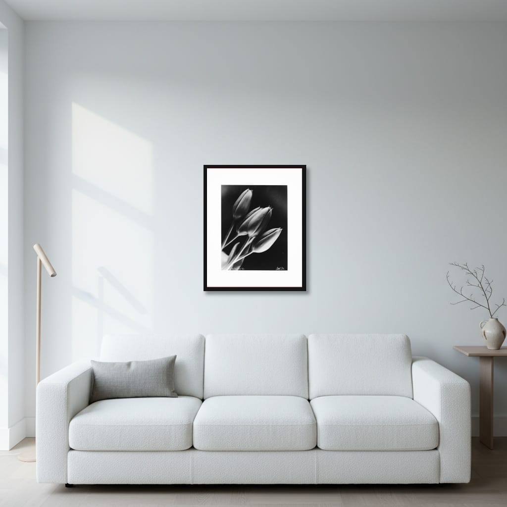 Dark Tulips (Melancholy of Silk) - Image 2