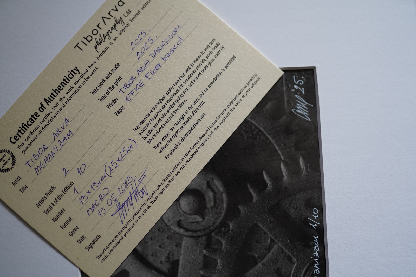 Mechanism (Gears of Time) - Image 3
