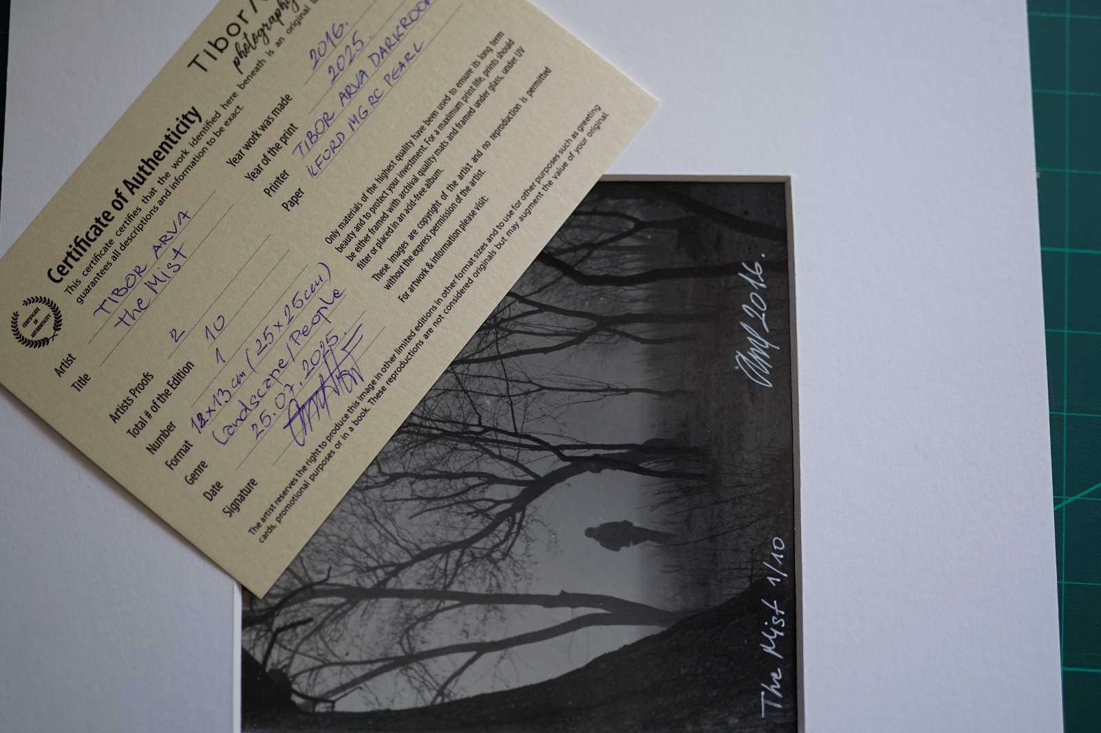 The Mist - Image 3